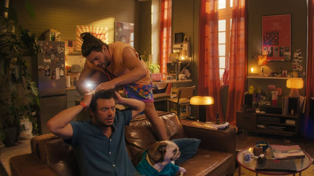 ზოგს მელოტები უყვარს