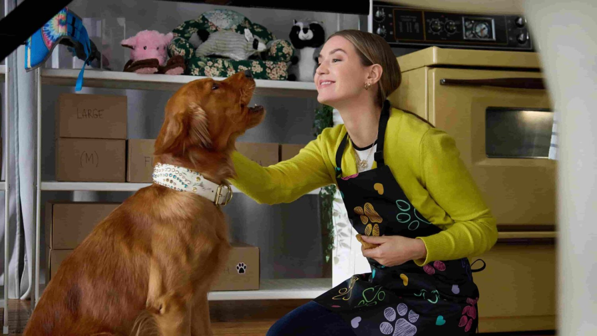 ყველგან ლეკვები