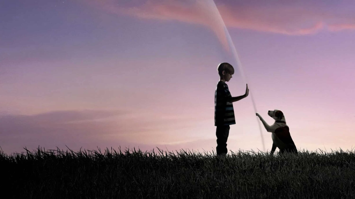 გუმბათის ქვეშ