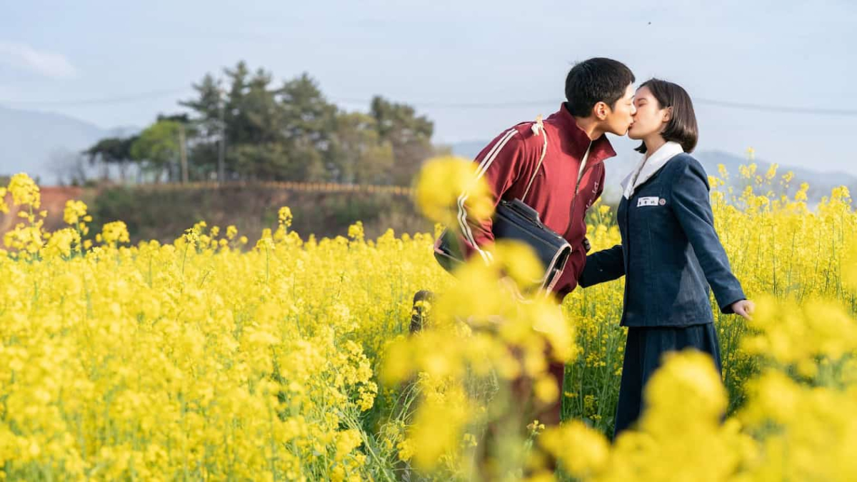 როცა ცხოვრება მანდარინებს გთავაზობს