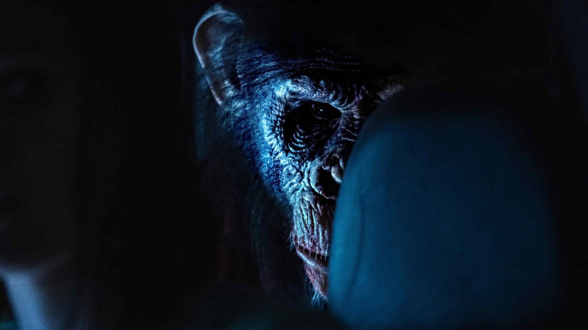 პრიმატი