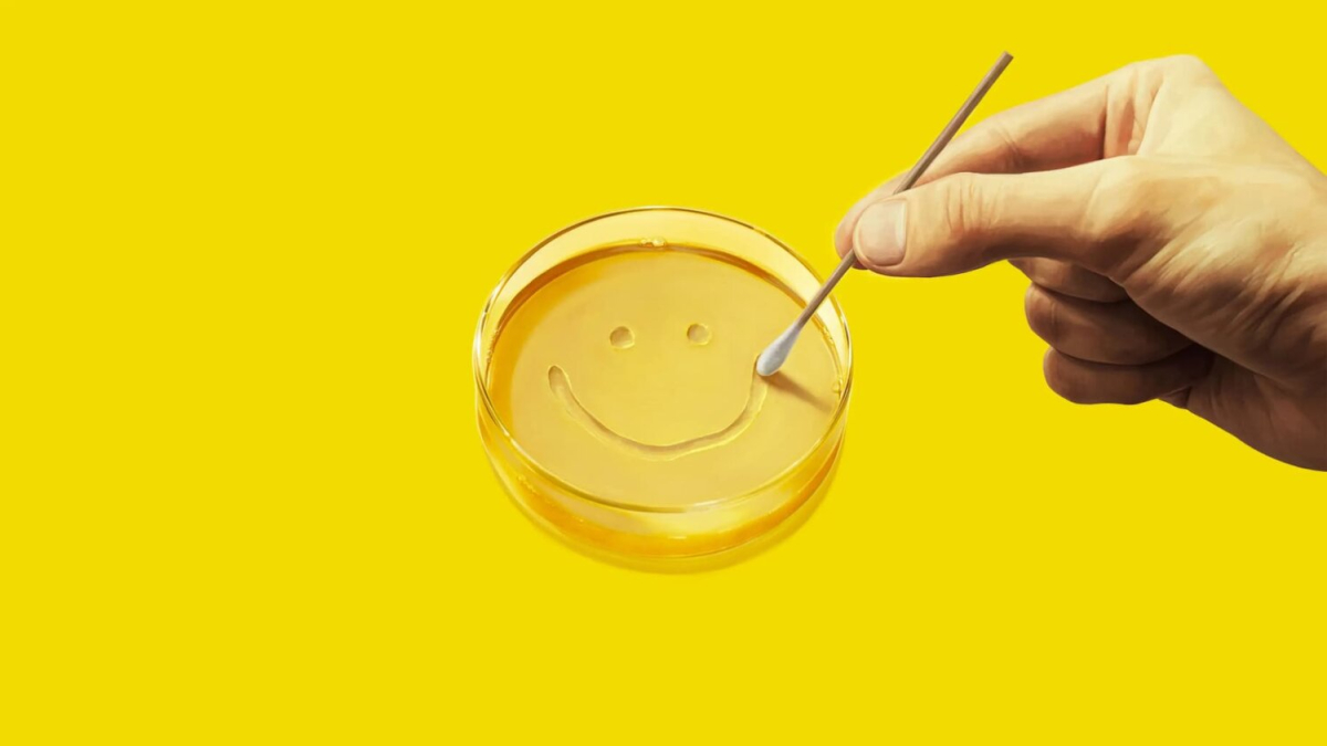 მრავალი (პლურიბუსი)