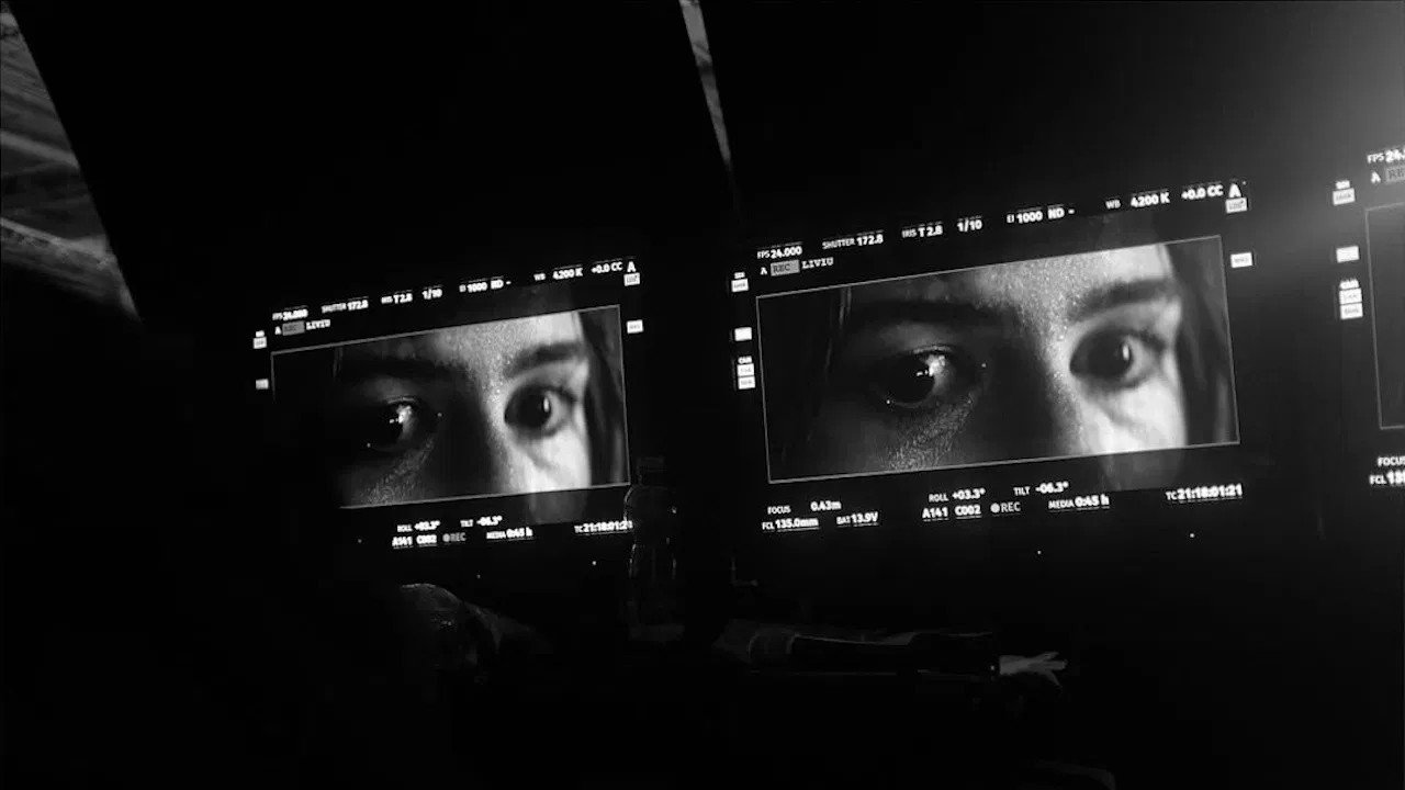 უცნობები: თავი მეორე